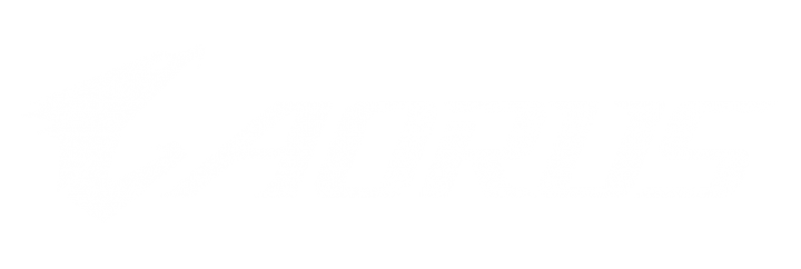 <p>AORUS<br></p>